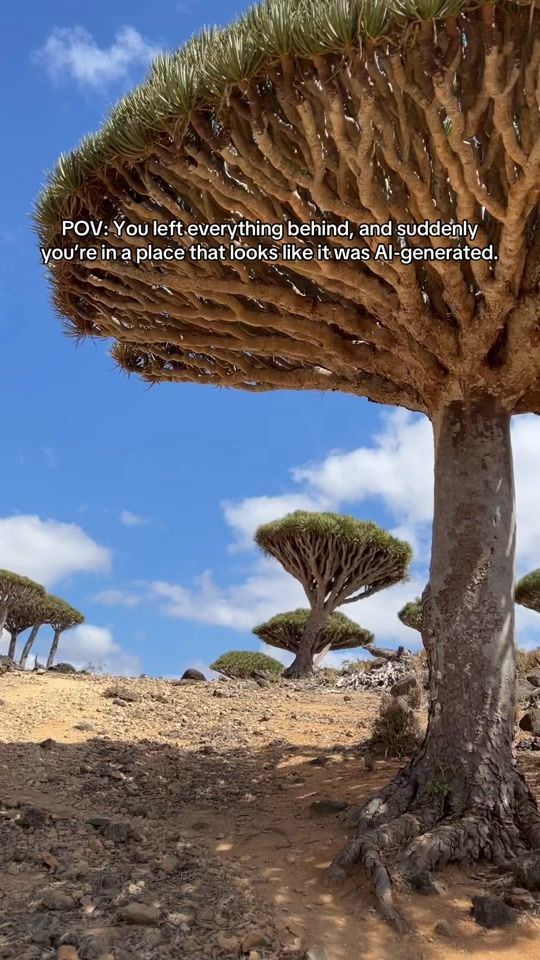 TikTok video thumbnail by m.xsy745