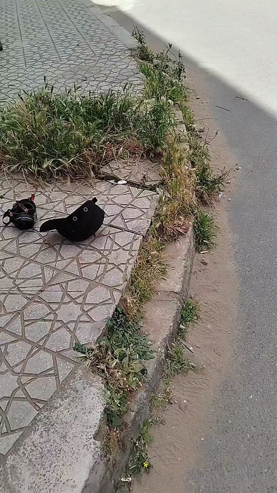 TikTok video thumbnail by mowing200