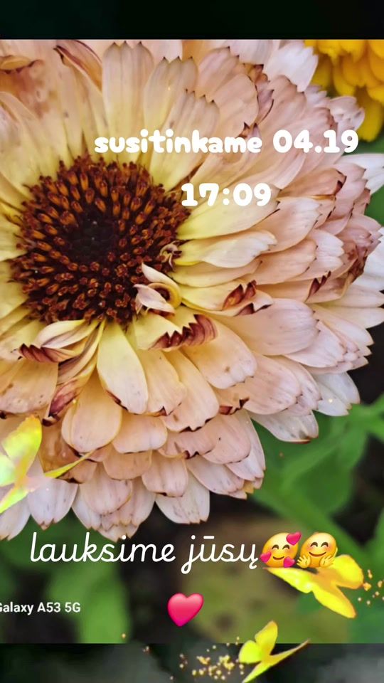 TikTok video thumbnail by sypsenele123