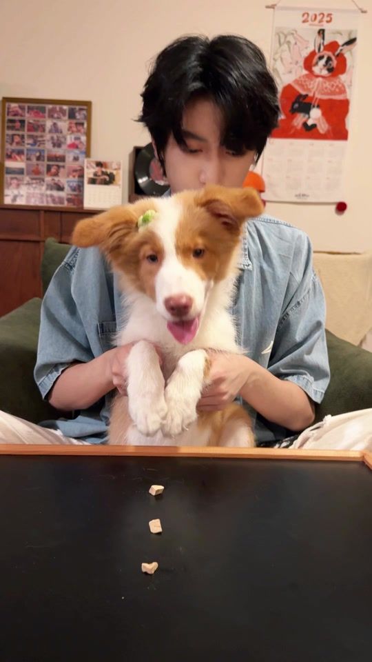 TikTok video thumbnail by tf_familyofficial