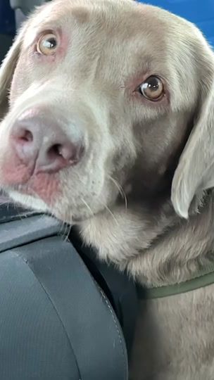 TikTok video thumbnail by slowmotion.labbi