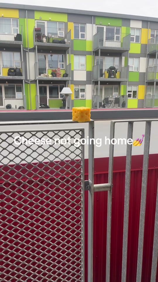 TikTok video thumbnail by pupakas