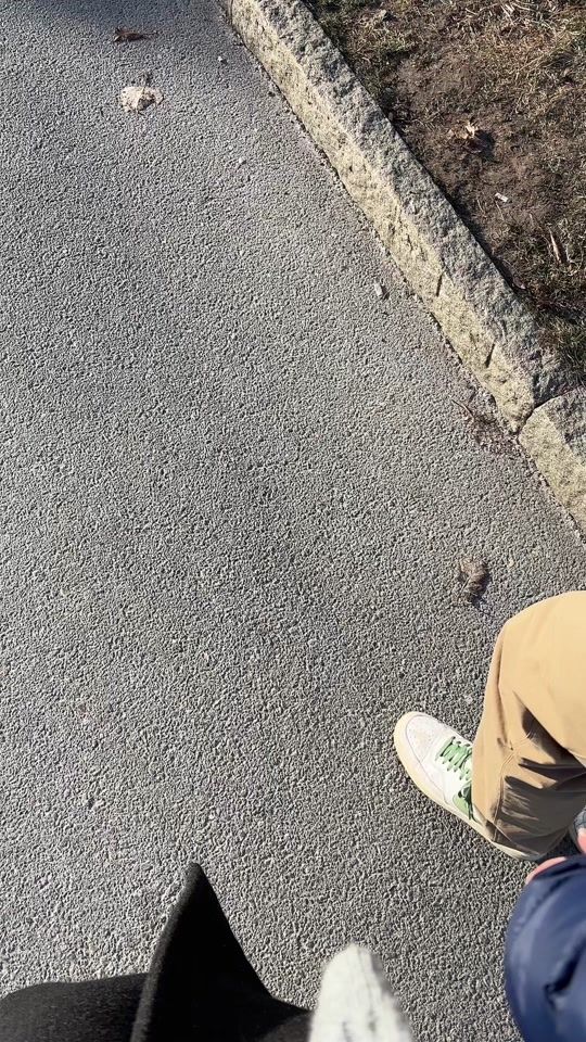 TikTok video thumbnail by rebeccabarrette