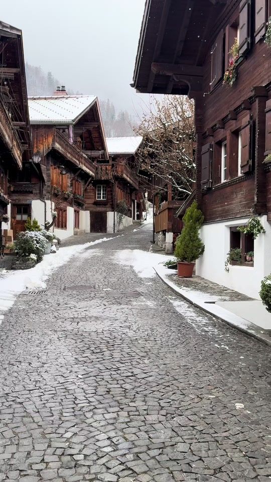 TikTok video thumbnail by mr_turkish_airlines