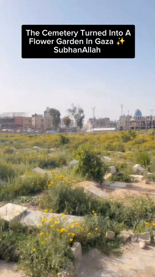 TikTok video thumbnail by al_muslimah_