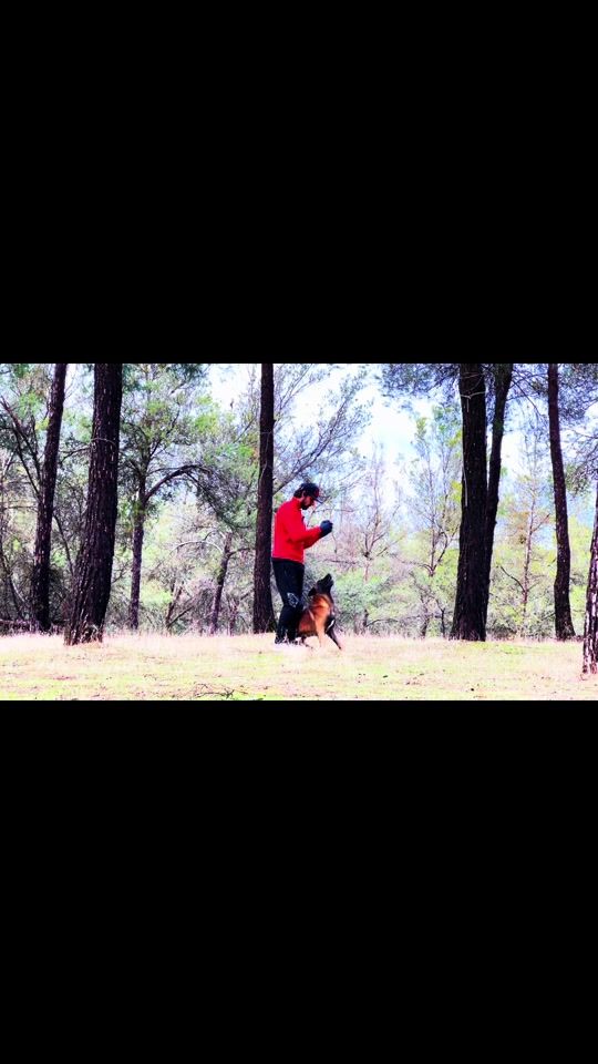 TikTok video thumbnail by el_mago._