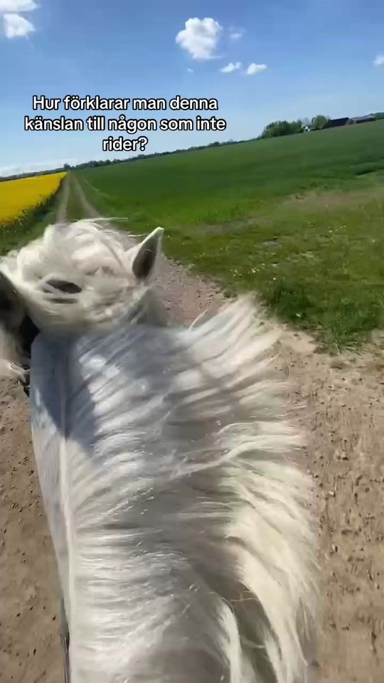 TikTok video thumbnail by equi.mollypolly
