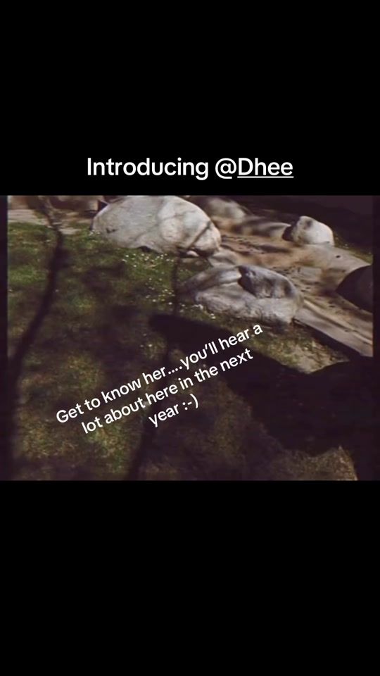 TikTok video thumbnail by savan_kotecha