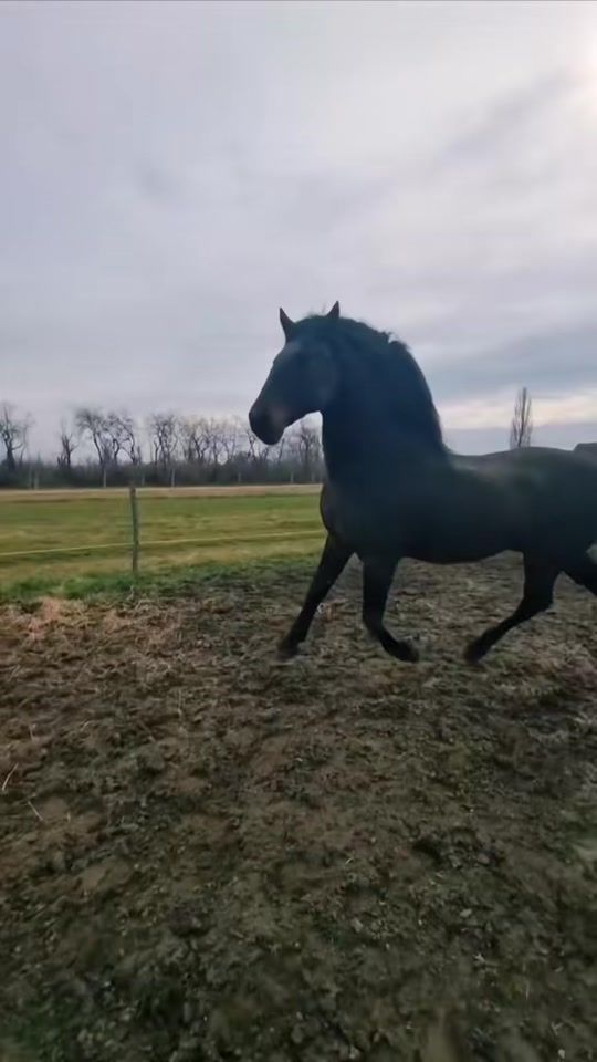 TikTok video thumbnail by criss_aly.22