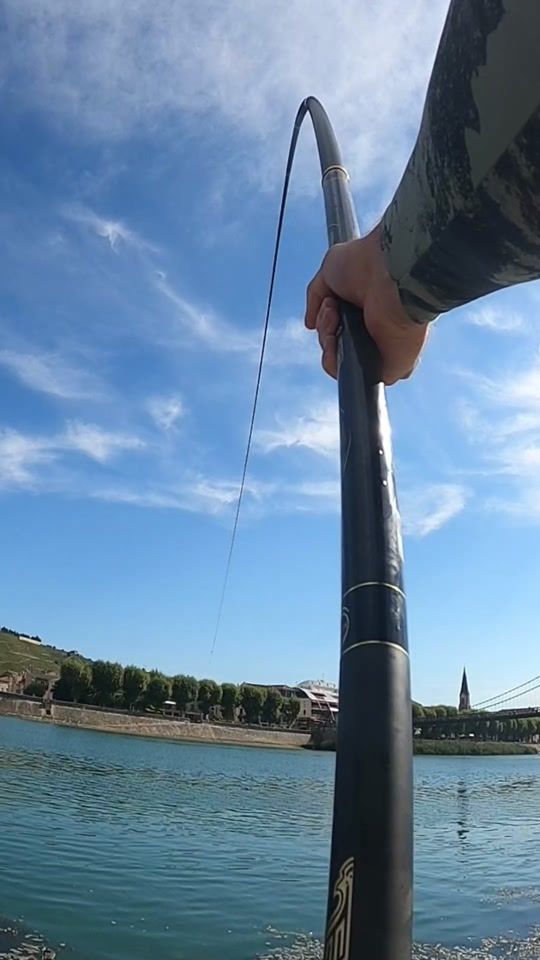 TikTok video thumbnail by cedric_berruyer
