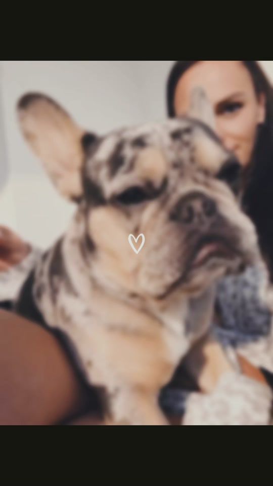 TikTok video thumbnail by fruzsakiss