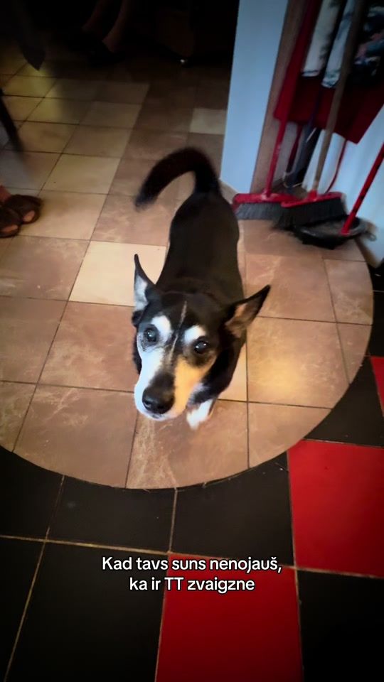 TikTok video thumbnail by kristernets