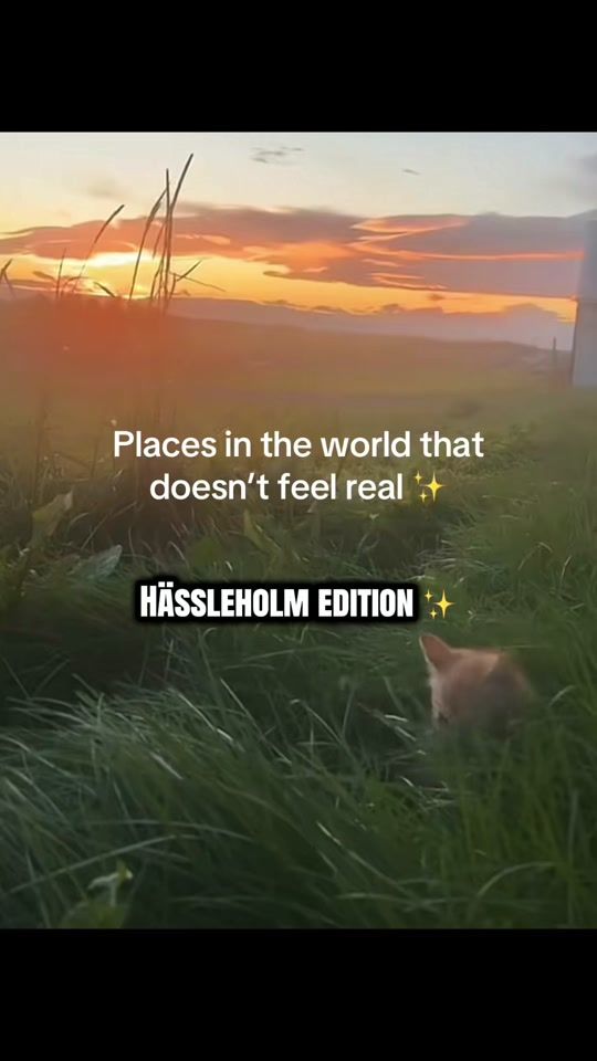 TikTok video thumbnail by heja.skane