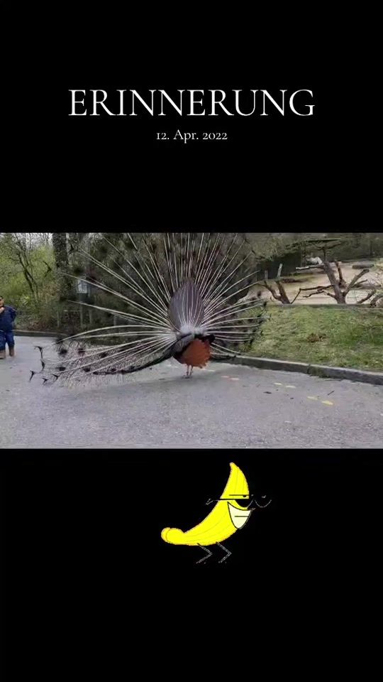TikTok video thumbnail by esca_la_tion