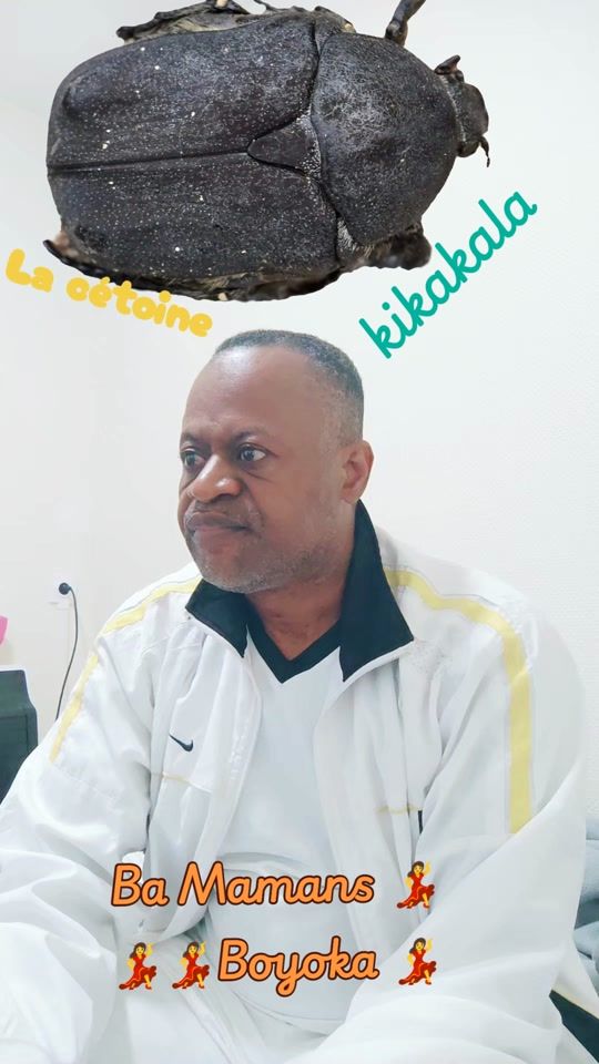 TikTok video thumbnail by papa_bakongo