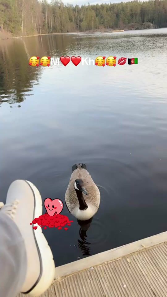 TikTok video thumbnail by mariam.n302