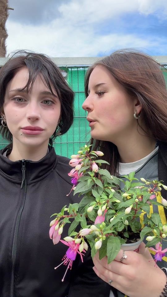 TikTok video thumbnail by blumen.bb