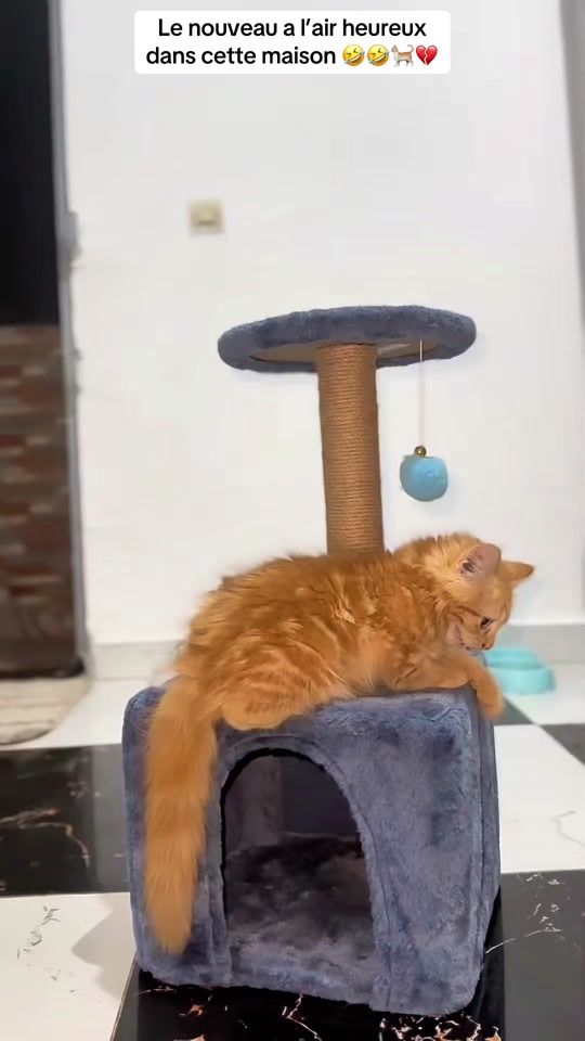 TikTok video thumbnail by traore_nakamura_0