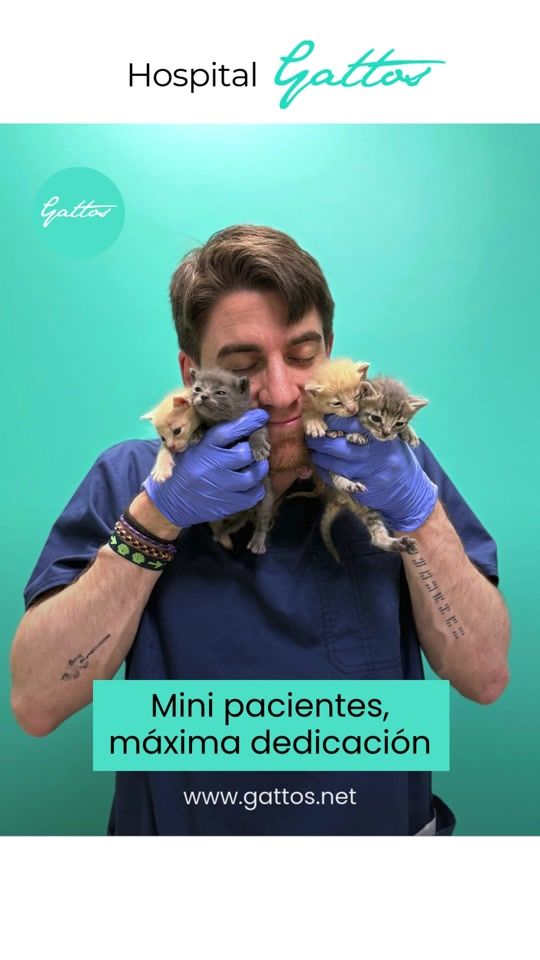 TikTok video thumbnail by hospitalgattos