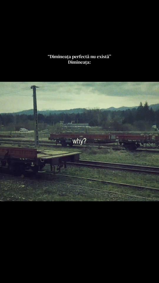 TikTok video thumbnail by andrei_denis_