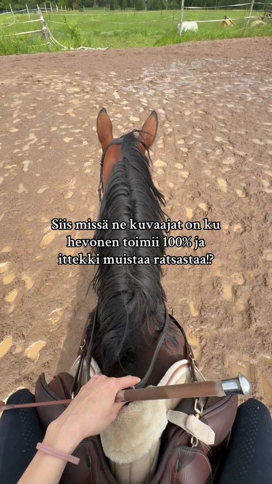 TikTok video thumbnail by showjumping_neaa