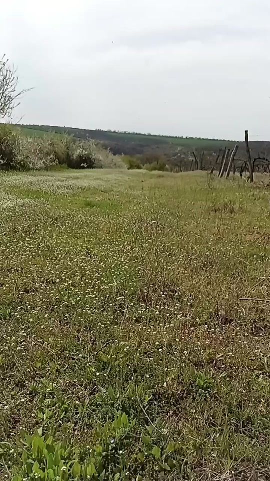 TikTok video thumbnail by djbeboigracha