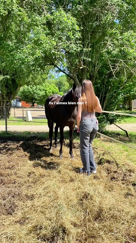 TikTok video thumbnail by ella.sacha_and_cie