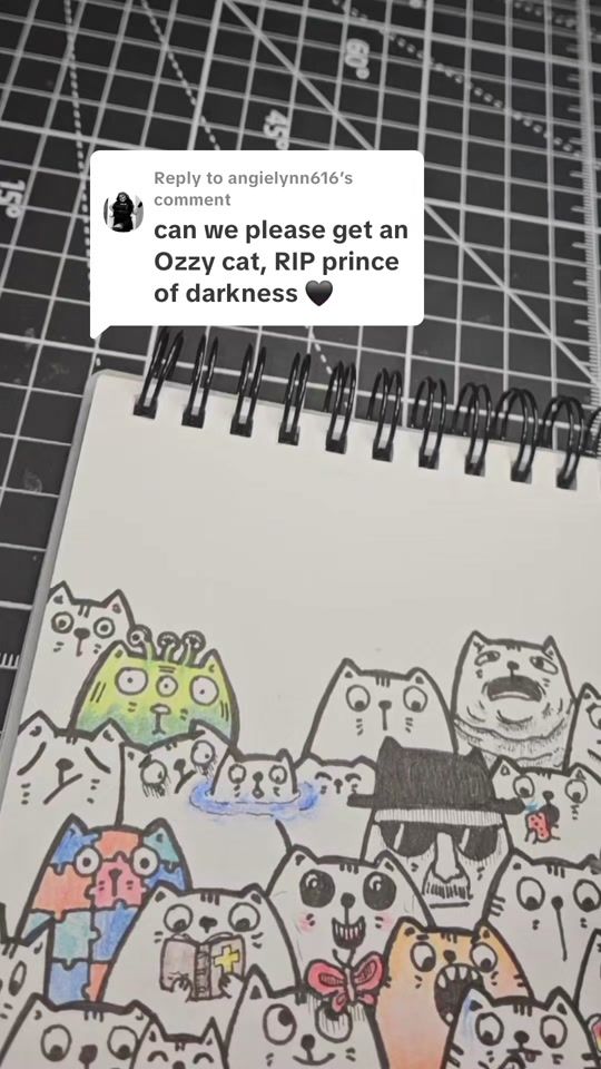 TikTok video thumbnail by stackofcatz