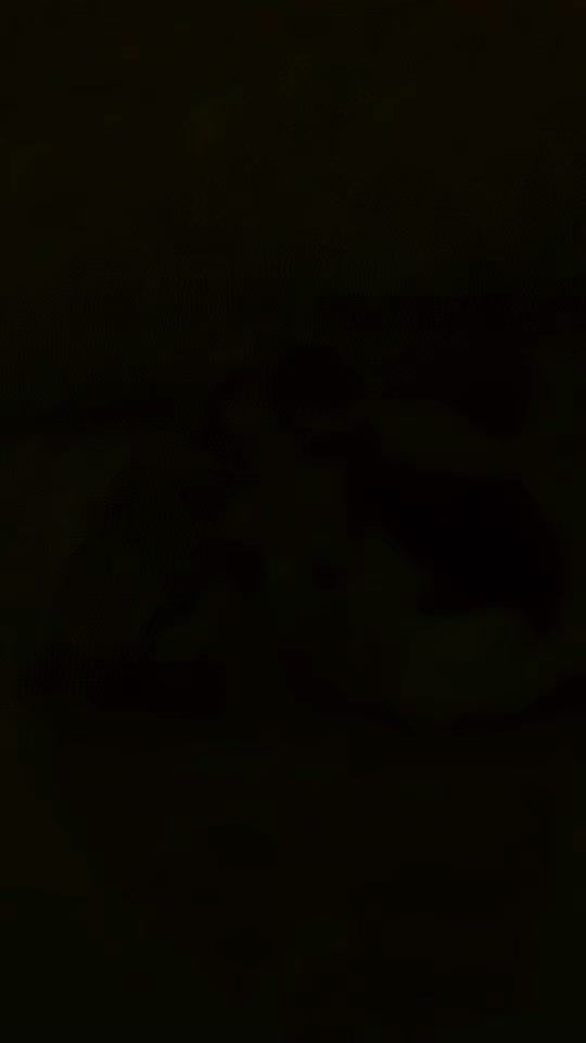 TikTok using Vele