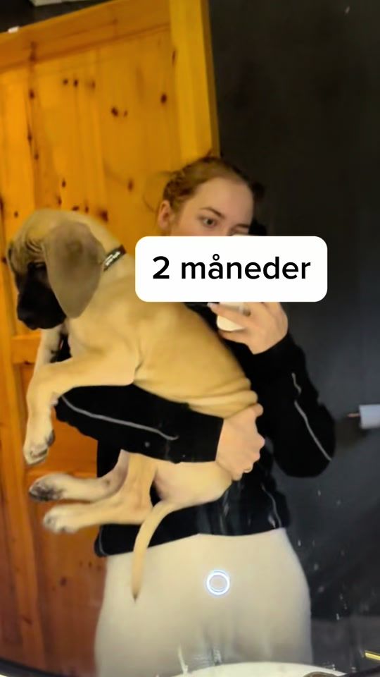 TikTok video thumbnail by notpiaolden