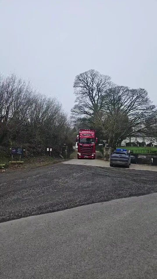 TikTok video thumbnail by wicklowcalfcompany