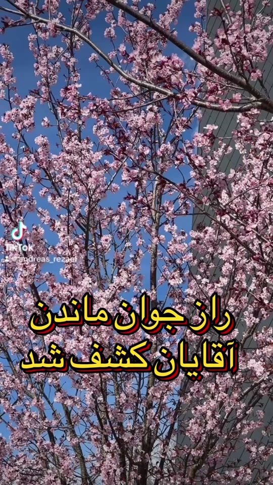 TikTok video thumbnail by andreas_rezaei