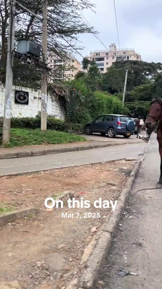 TikTok video thumbnail by malieng0_0