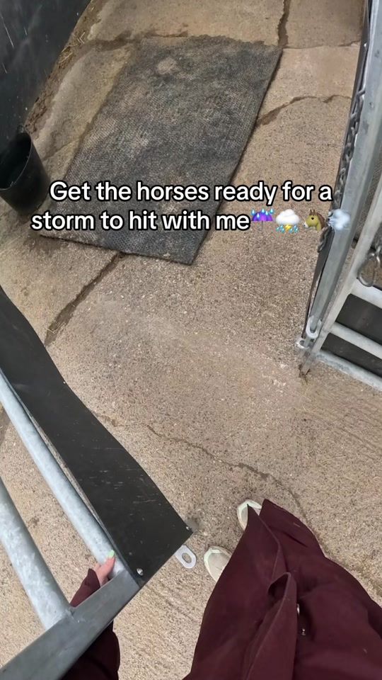 TikTok video thumbnail by lilscliffe