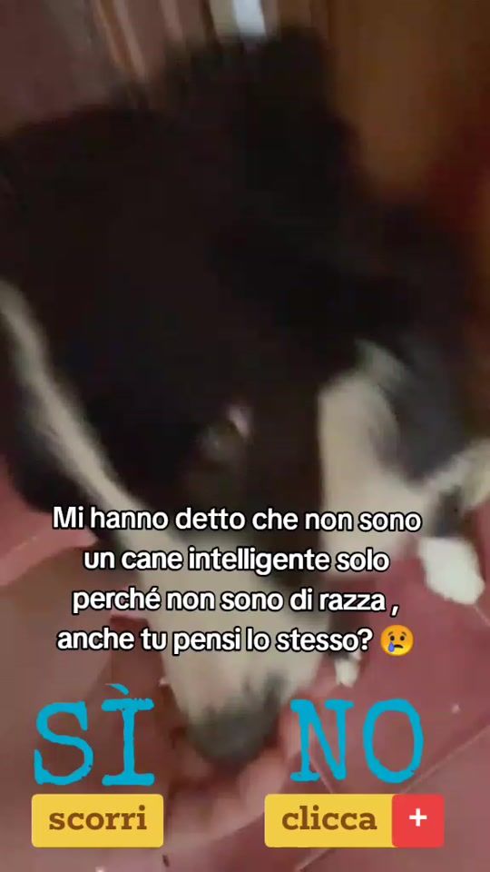 TikTok video thumbnail by lilly.chloe2023