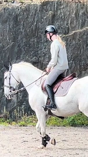 TikTok video thumbnail by emilie.equ