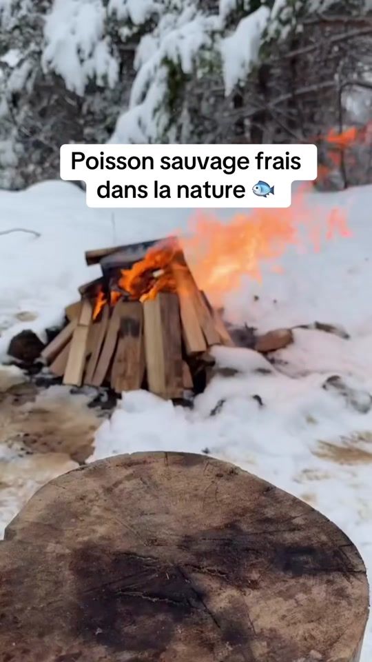 TikTok video thumbnail by max_quizzfr