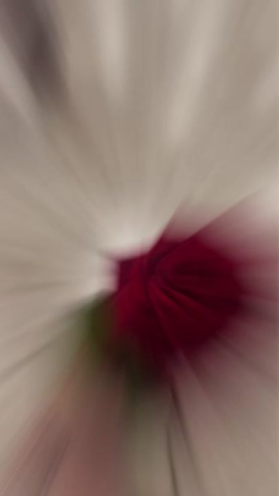 TikTok video thumbnail by helen775556