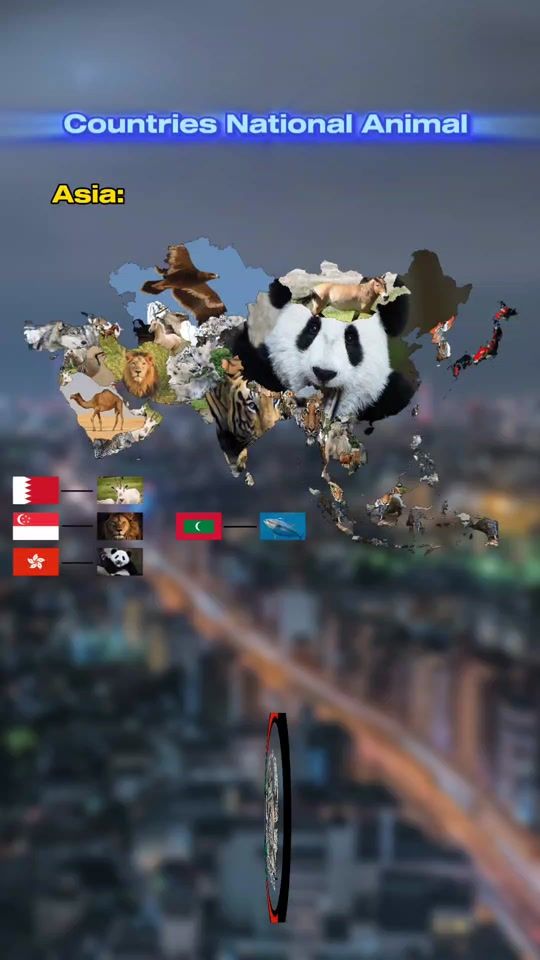 TikTok video thumbnail by afghan_mapper6