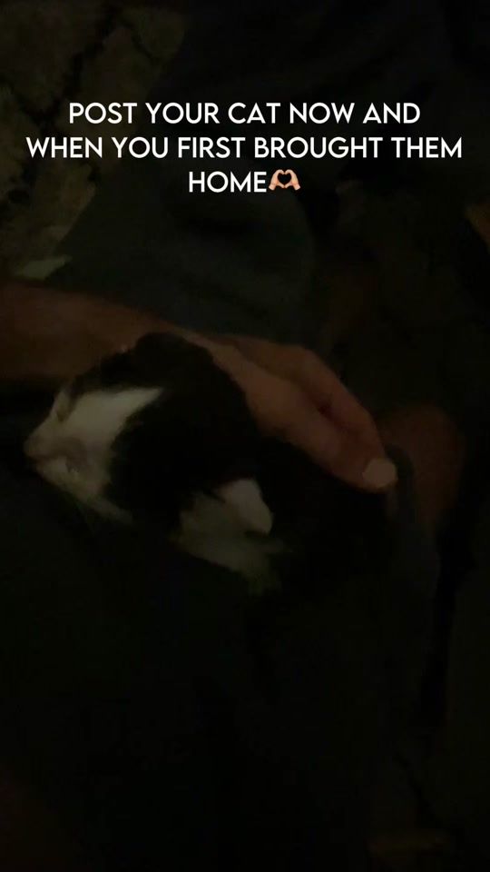 TikTok video thumbnail by simonsworld123