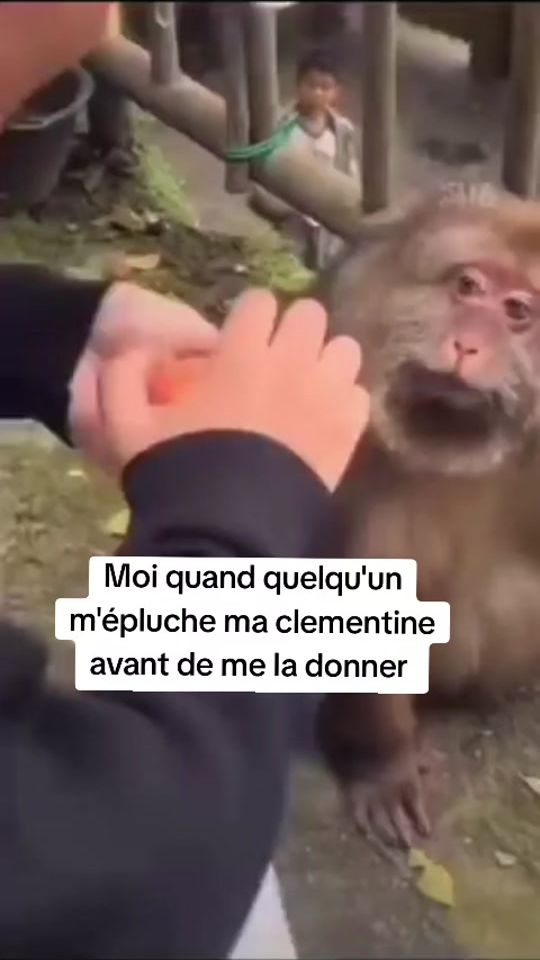 TikTok video thumbnail by rafologue