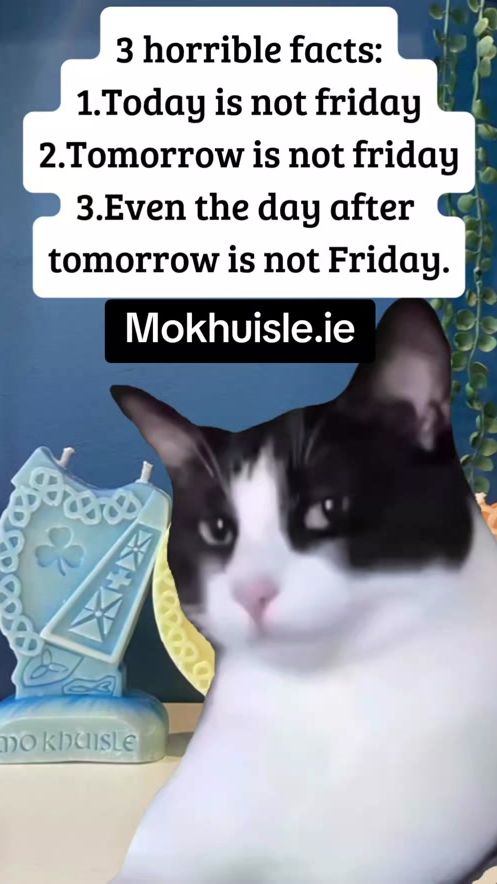 TikTok video thumbnail by mo..khuisle.candle