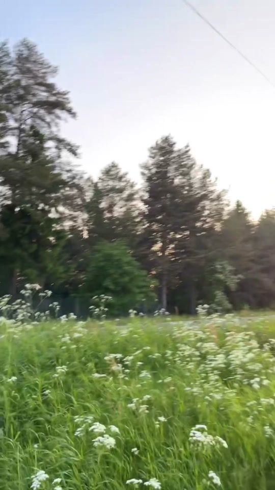 TikTok video thumbnail by oonaamikkolaa