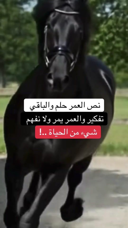 TikTok video thumbnail by nisrino444