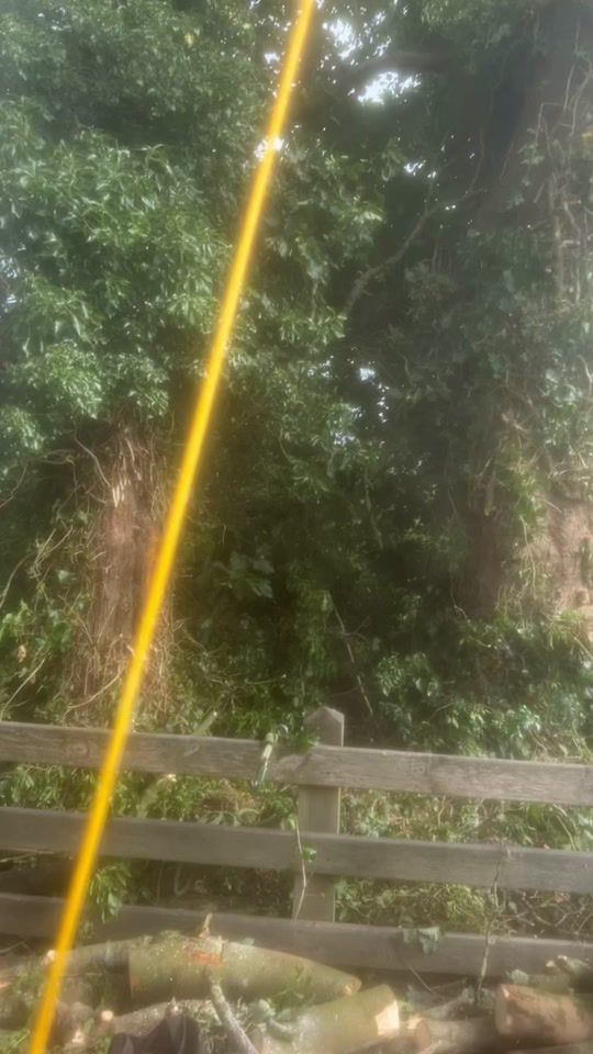 TikTok video thumbnail by davidthomasmcneil