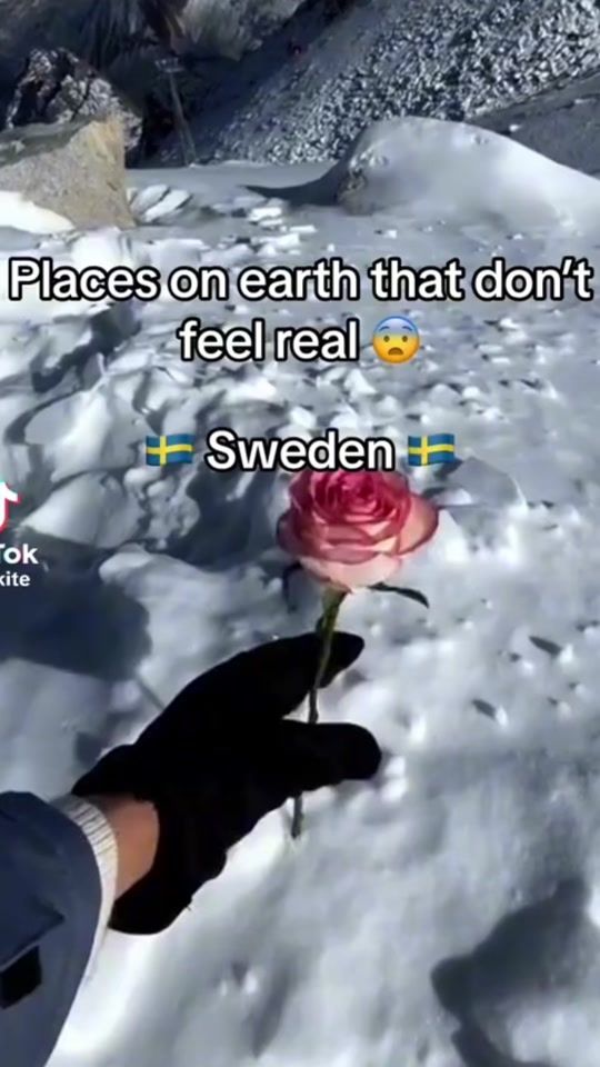 TikTok video thumbnail by trollbodagosip67