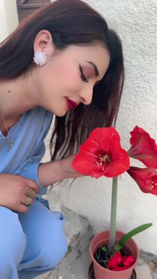 TikTok video thumbnail by metodiveaa
