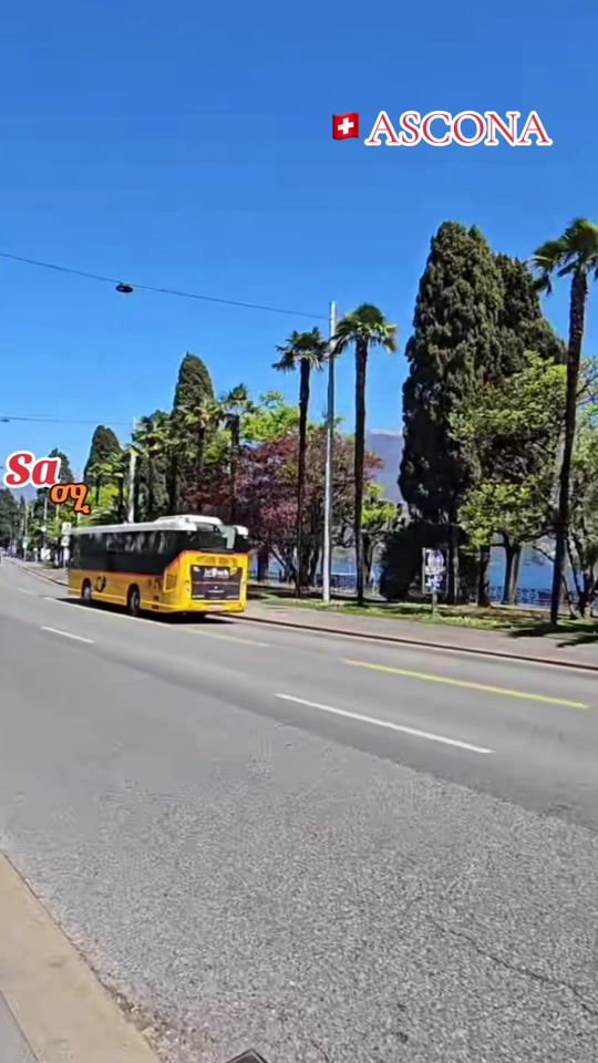 TikTok video thumbnail by sa61033