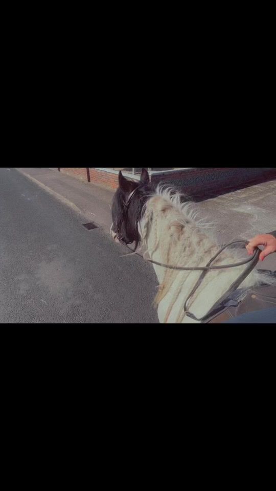TikTok video thumbnail by f4zozo