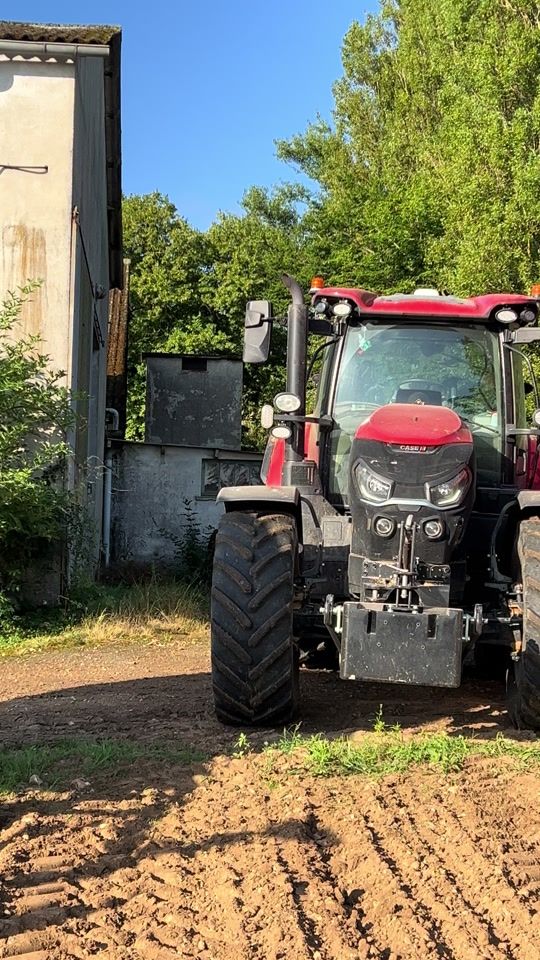 TikTok video thumbnail by clio_agri28